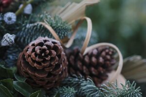 体臭に悩む女性におすすめのサプリは楽天最安値で購入できる？