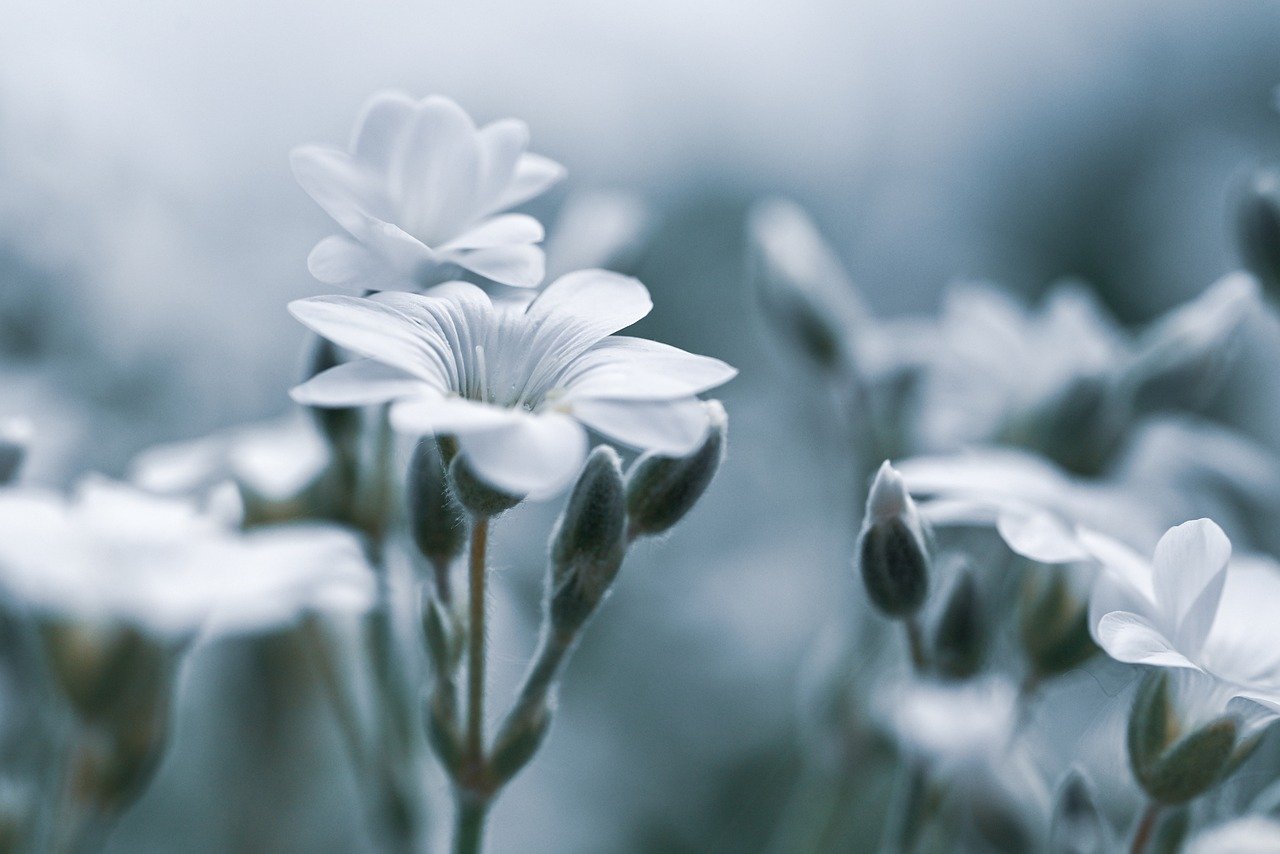 デリケートゾーンの臭いを改善するサプリは女性の体臭に効果的？