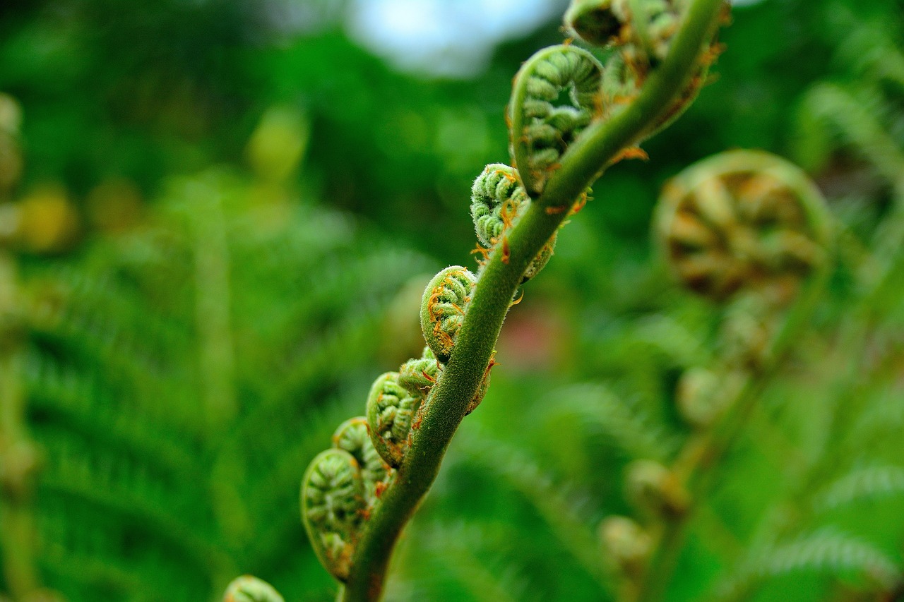 体臭対策におすすめの無添加サプリ女性向け比較ランキングは？
